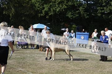 181848_kar_01__62_2734.JPG