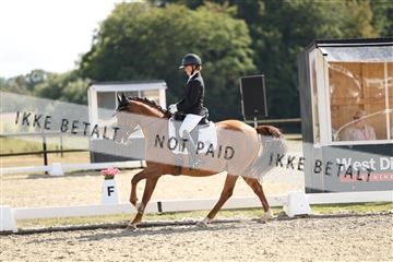 181894_mtp_02_R62_2120.JPG