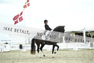 181449_kbb_03_Z092035.JPG