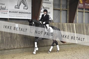 173181_kbb_01__D4S6454.JPG