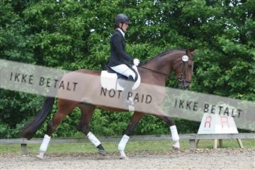 135518_ms_01_IMG_0876.JPG