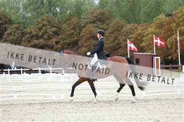 181923_mtp_01_R62_6787.JPG