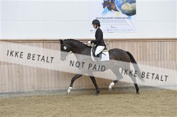 160111_nn_01__ESK1481.JPG