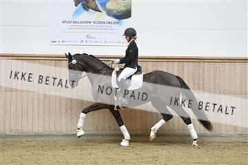 160111_nn_01__ESK2036.JPG