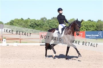 181449_bc_01R62_6150.JPG