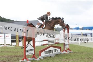 5925_ma_05_IMG_0551.JPG