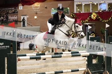 175934_avh_02_7102.JPG
