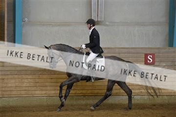 144288_abo_01__AB22285.JPG