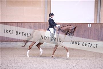 173821_mtp_01_3M5A8939.JPG