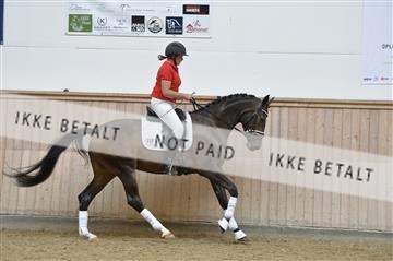 160111_nn_01__ESK1617.JPG