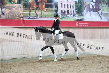 181887_mtp_04_R62_9161.JPG