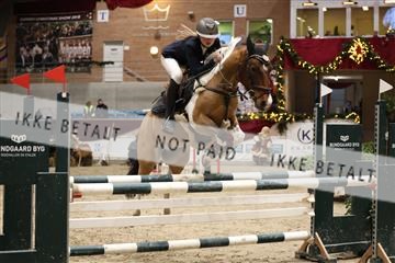 175934_avh_02_7053.JPG