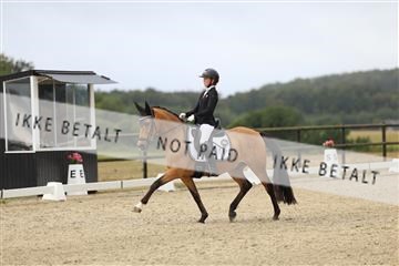 181894_mtp_04_R62_3415.JPG