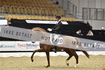 148922_abo_03__AB28363.JPG