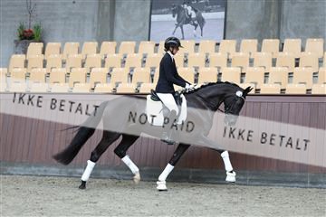 181852_mtp_02_R62_1630.JPG