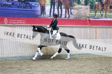 181887_mtp_04_R62_9351.JPG