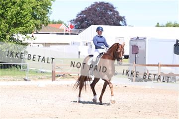 181449_bc_01R62_5628.JPG