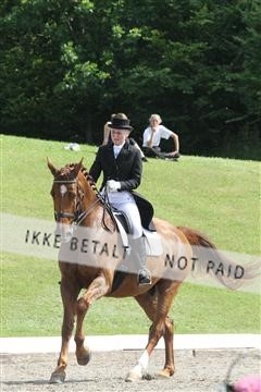 135676_sg_01_IMG_8046.JPG