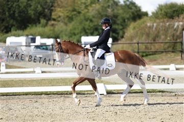 181894_mtp_05_R62_4866.JPG