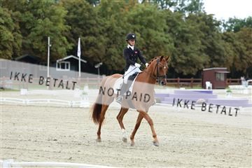 181923_mtp_02_R62_7050.JPG