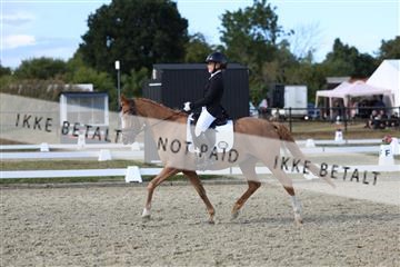 181894_mtp_05_R62_5065.JPG