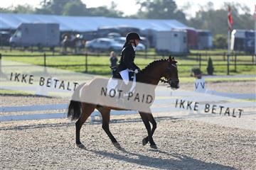 156716_mlm_03_IMG_2824.JPG