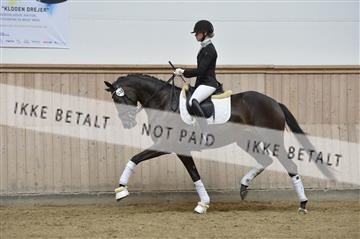 160111_nn_01__ESK2145.JPG
