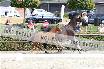 174806_jss_03_R6II2048.JPG