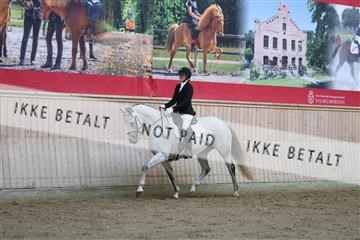 181887_mtp_02_R62_7417.JPG