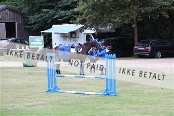 181805_mlm_01_R62_5174.JPG