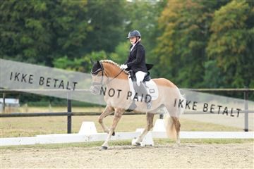 181894_mtp_04_R62_3724.JPG
