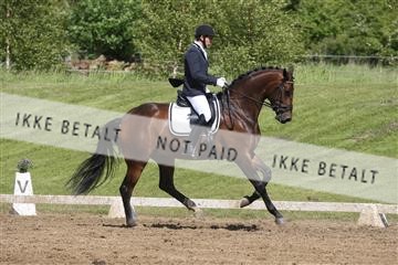 147698_nn_01_IMG_0031.JPG