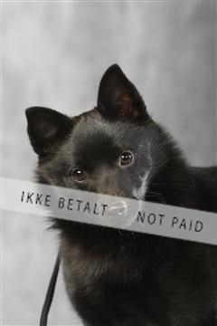 129608_le_ 01_0647.JPG