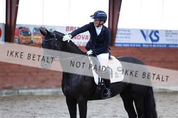 175442_kbb_01_R6II0344.JPG