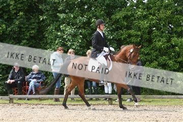 135518_ms_01_IMG_1489.JPG