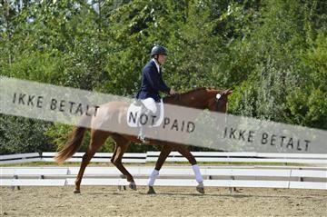 136195_abo_01__AB15980.JPG