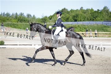 181449_kbb_01_6II8691.JPG