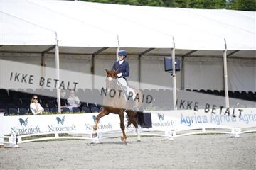181449_kbb_02_6II1029.JPG