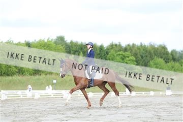 174661_kbb_01_R6II6417.JPG