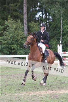 5925_ma_05_IMG_1216.JPG