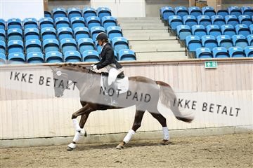 175676_avh_01_R62_4821.JPG