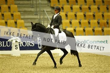 144963_ms_01__MG_9751.JPG