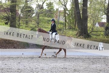 174512_mtp_01_3M5A7102.JPG