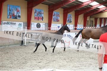 181868_mtp_03_R62_6179.JPG