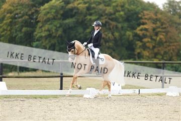 181894_mtp_04_R62_3741.JPG