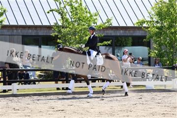 174806_jss_01_R6II0394.JPG