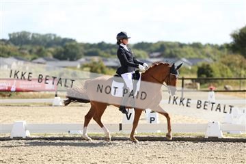 181894_mtp_02_R62_2265.JPG