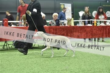 163793_bkn_01__BKN9410.JPG