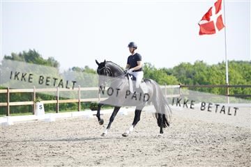 181449_kbb_02_6II1390.JPG