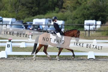 181894_mtp_05_R62_5292.JPG